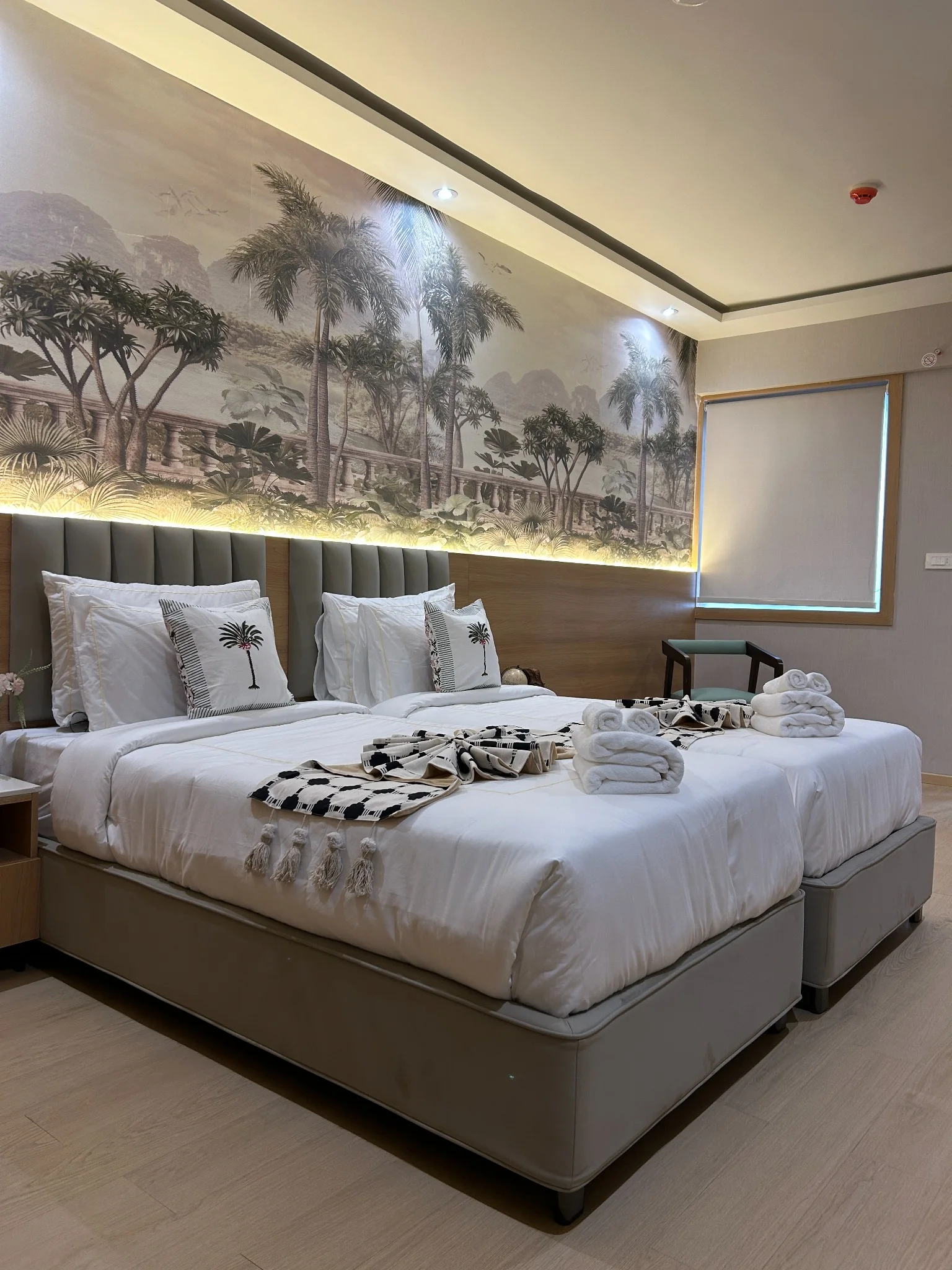 Deluxe Room photo 3
