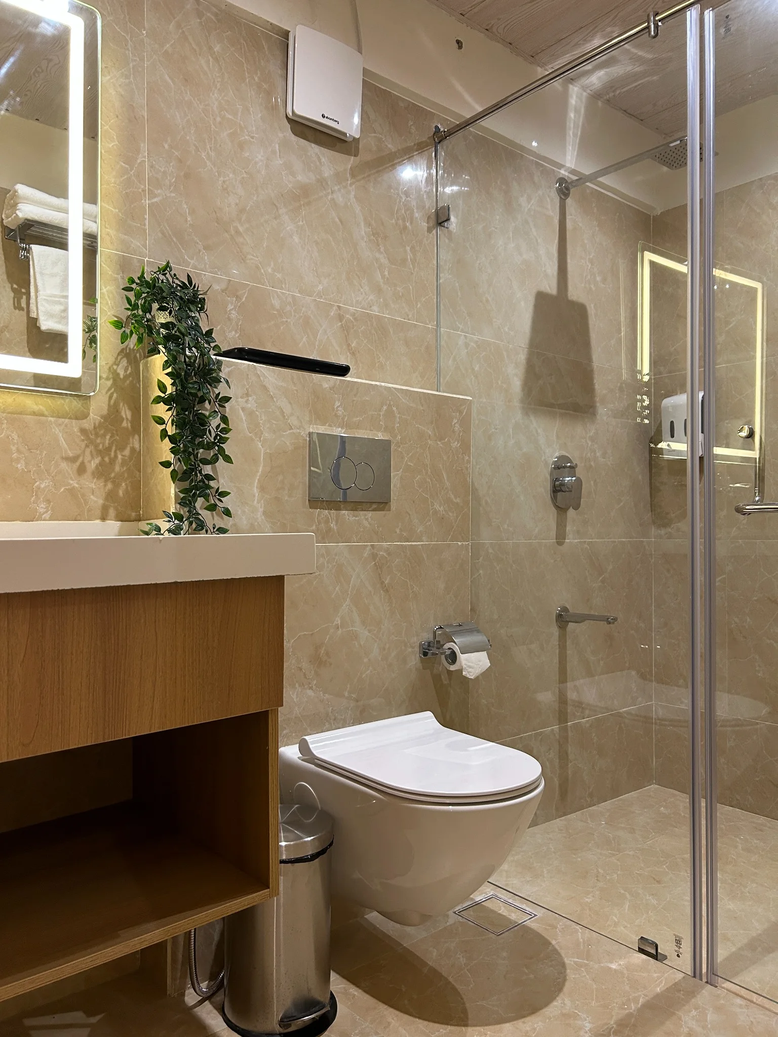 Deluxe Room photo 6