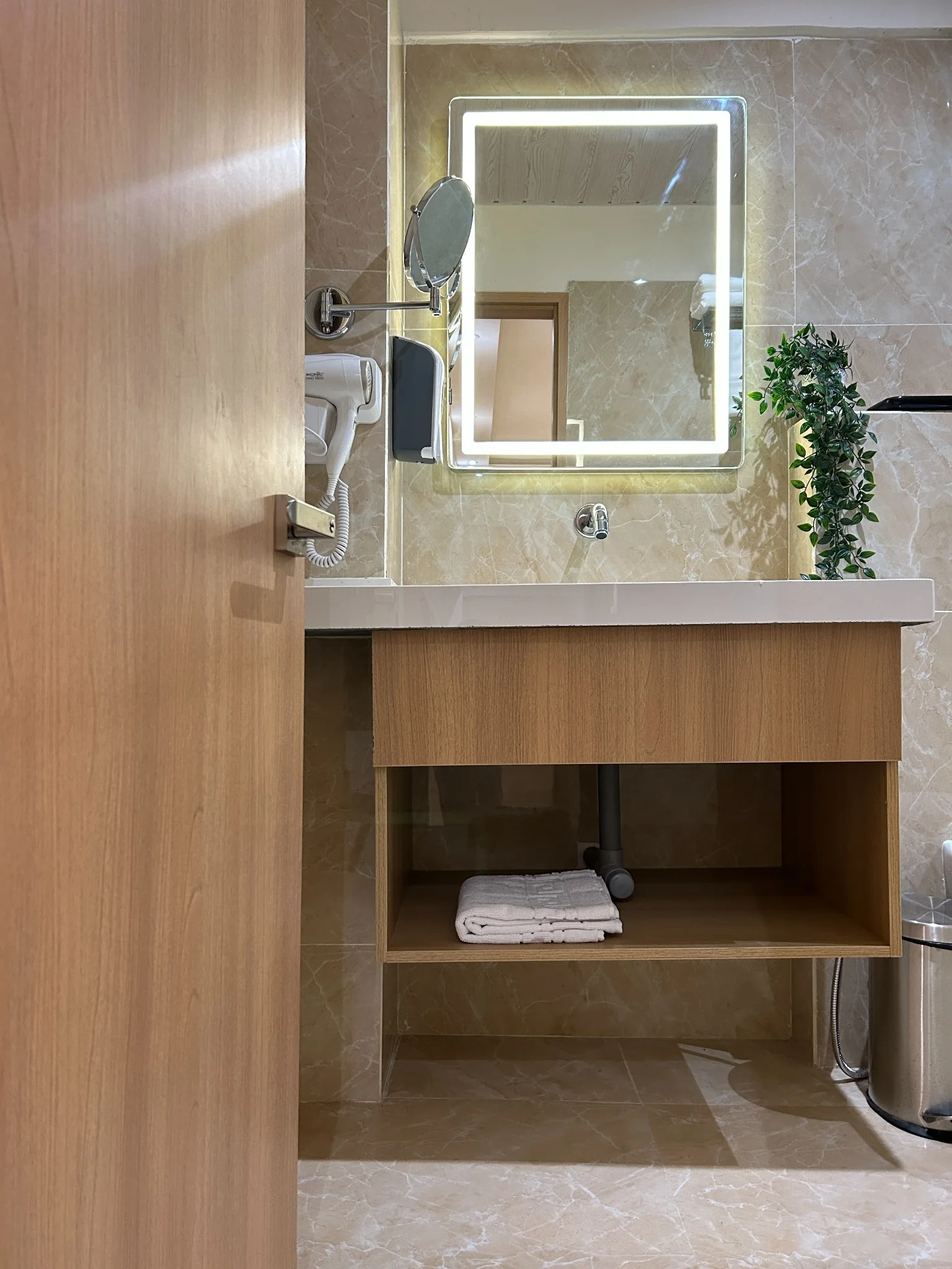 Deluxe Room photo 5